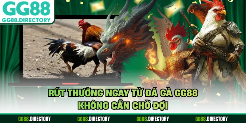 Rút thưởng ngay từ đá gà GG88 không cần chờ đợi